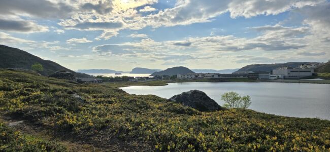 Rypefjord